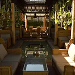 Oasis לוזנטס