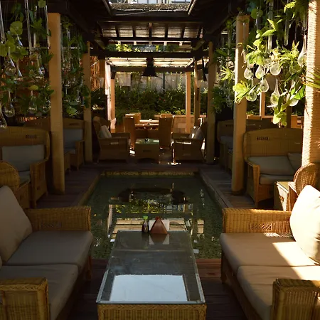 Oasis Lozenets