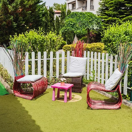 Oasis