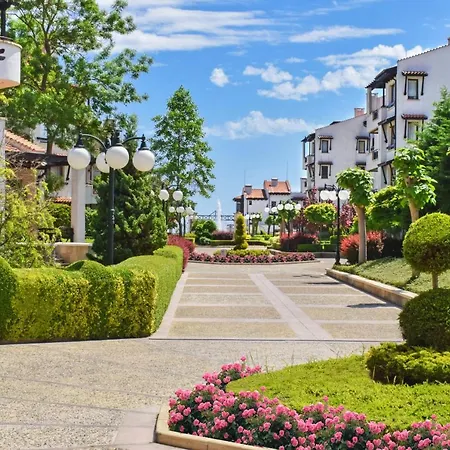 Oasis