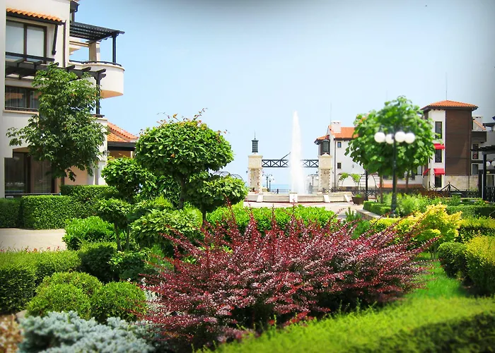 Oasis ロゼネッツ