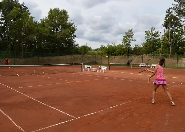 リゾート Oasis 4*