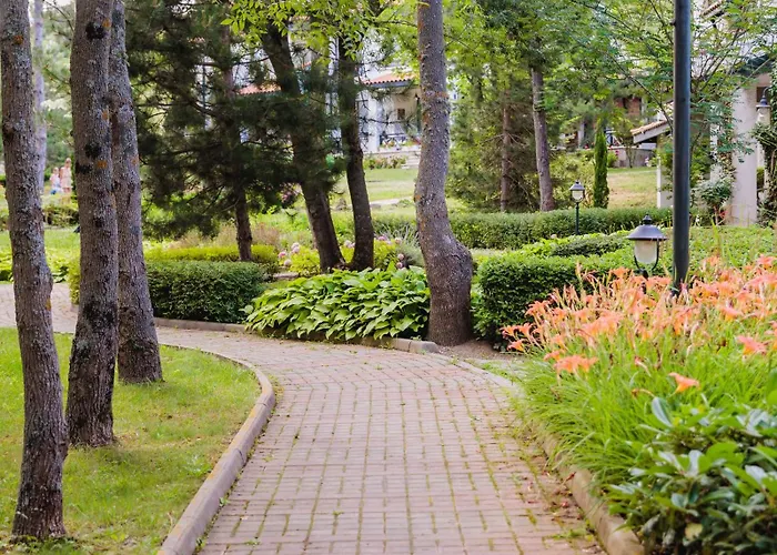 リゾート Oasis 4*