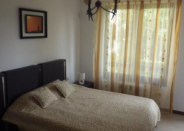 Oasis Лозенец