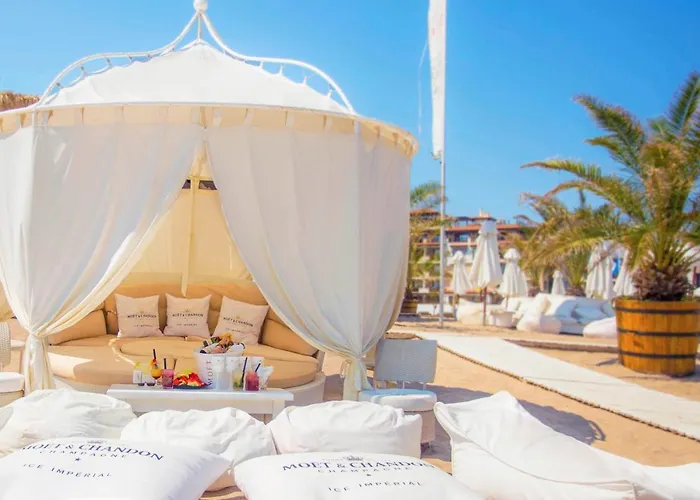 Oasis ロゼネッツ